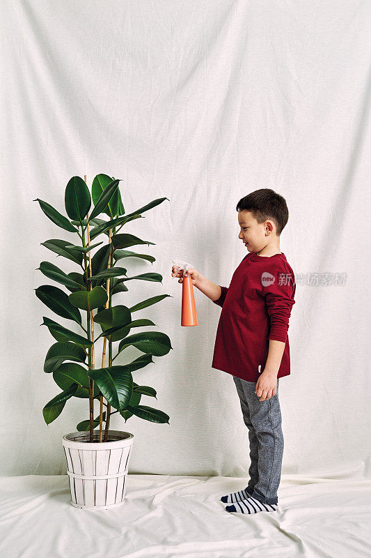 孩子在给他的植物浇水。经济增长的概念。