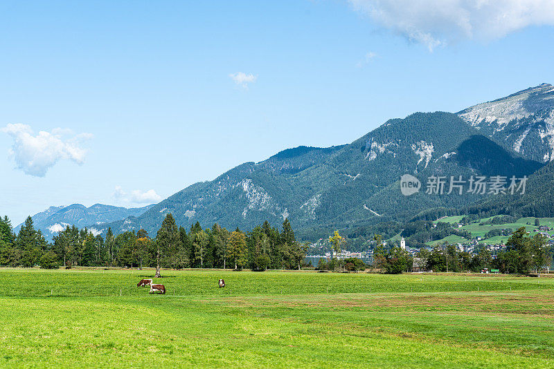 田园诗般的风景在阿尔卑斯山脉