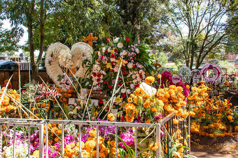 亡灵节墓地鲜花装饰