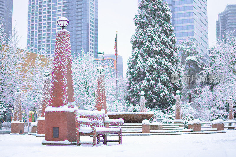 雪天的贝尔维尤市中心公园