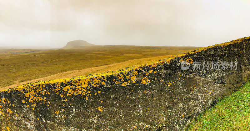 冰岛Hellissandur:秋季火山苔藓景观，石墙