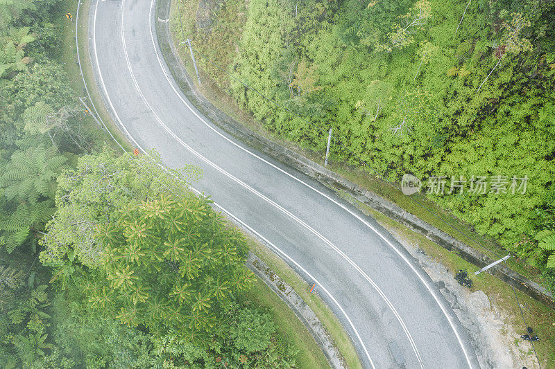 雨林中的道路