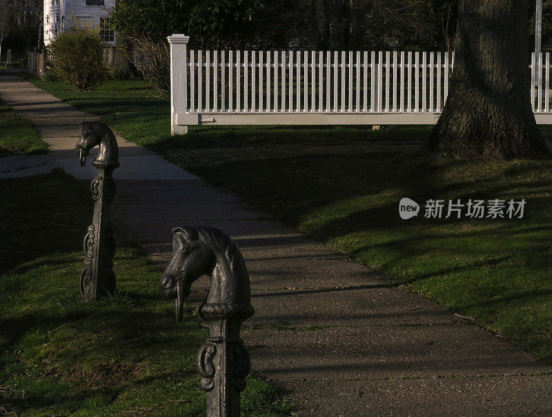 马头马栓柱沿着街道在东方，纽约