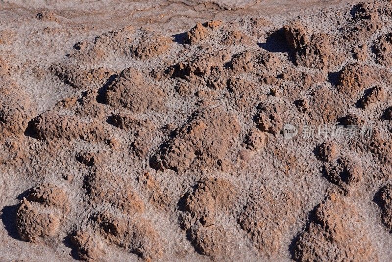 被侵蚀的沙子暴露出坚硬的土壤团块