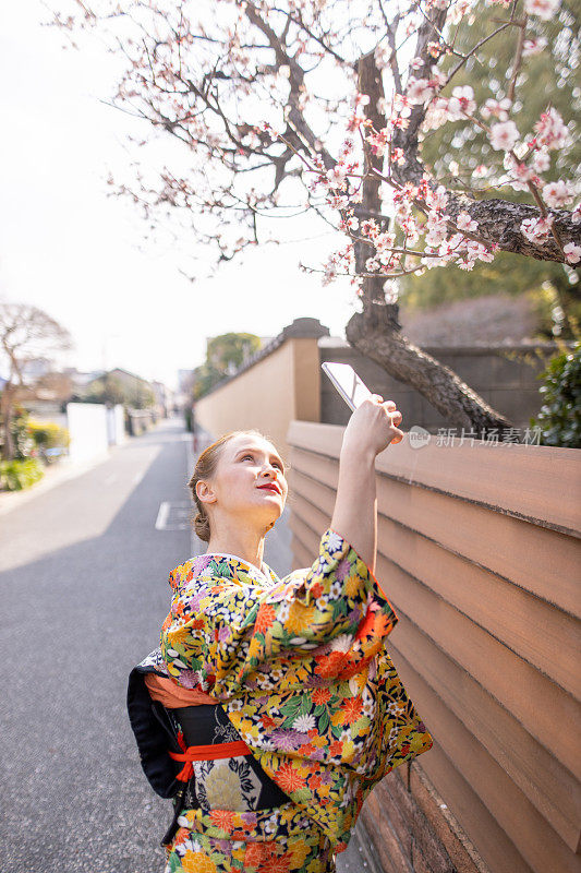 年轻的白人妇女在传统的日本街道上穿着和服拍摄梅花