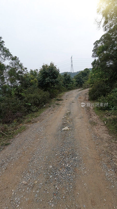 森林里泥泞的路