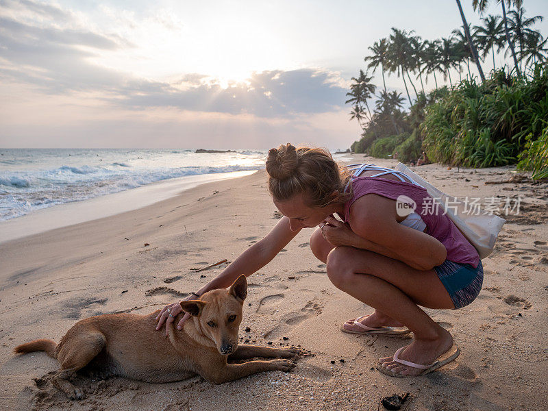 日落时分，年轻女子在热带海滩上和狗狗玩耍