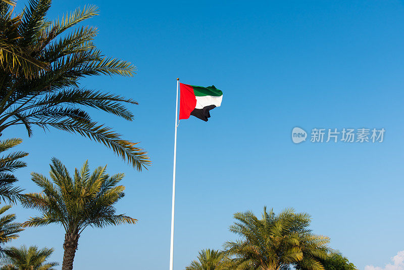 阿拉伯联合酋长国的国旗在风中飘扬