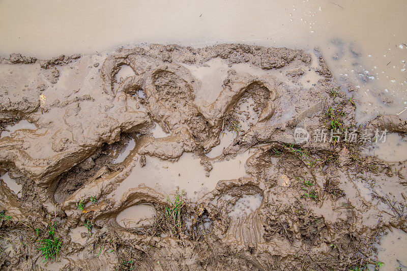 湿漉漉的褐色泥土上有新鲜而又深的脚印，就在眼前