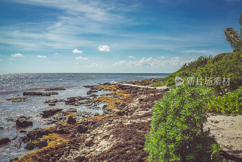 墨西哥海景，科斯塔玛雅