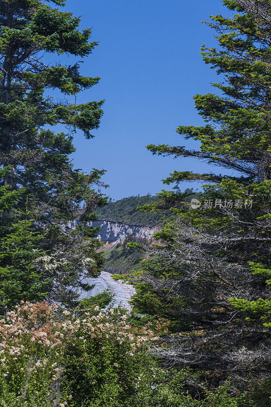 惠德比岛的海岸线，从凯西堡