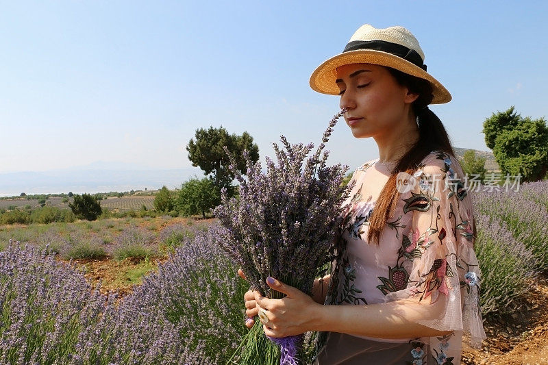 在Kuyucak村的薰衣草田里，一位戴着草帽的年轻白人妇女闭着眼睛，用双手嗅着薰衣草