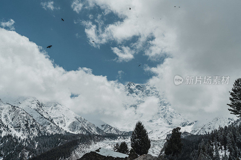 风景秀丽的南迦帕尔巴特山在巴基斯坦