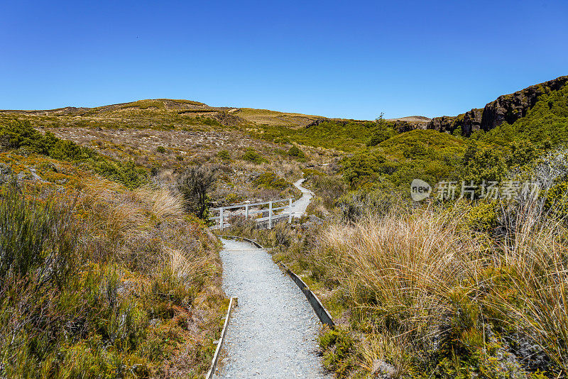 环绕山径风景――汤加里罗国家公园的步道，马纳瓦图-旺加努伊，新西兰