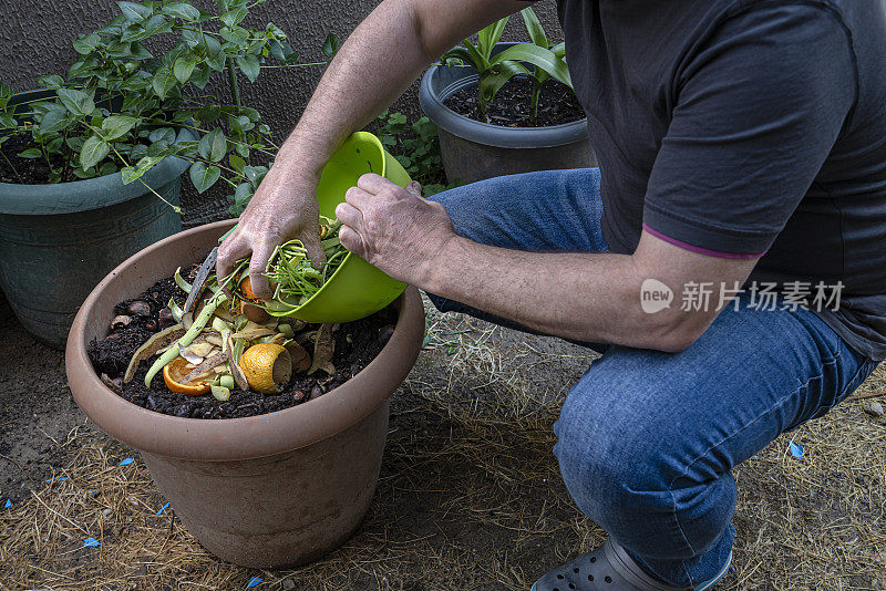 在花园里用水果、蔬菜和蛋壳制作堆肥。