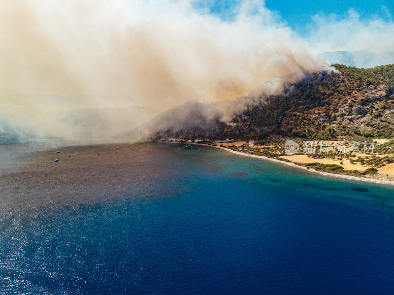 鸟瞰图在爱琴海海岸的红松林火灾
