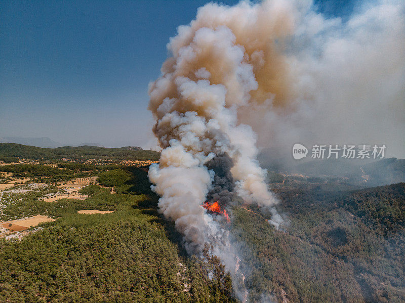 鸟瞰图土耳其博德鲁姆红松林火灾