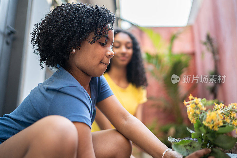 姐妹们一起在家里种花