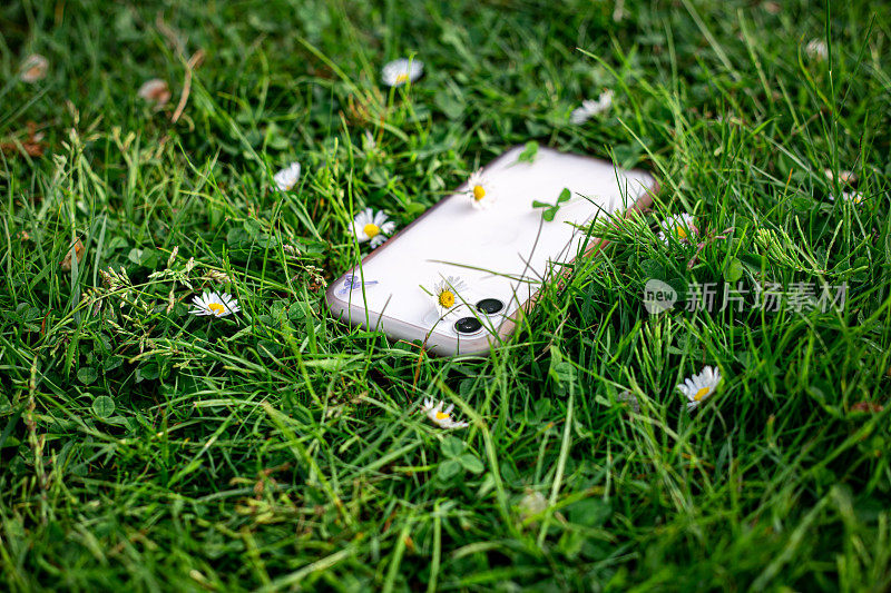 白色的智能手机在绿草如茵的雏菊中。