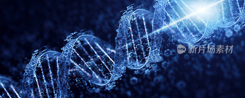 数字DNA。技术的概念。宽