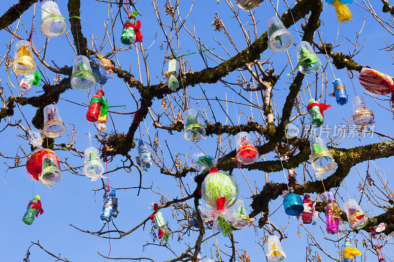 用回收材料做成的圣诞装饰品挂在光秃秃的树上。
