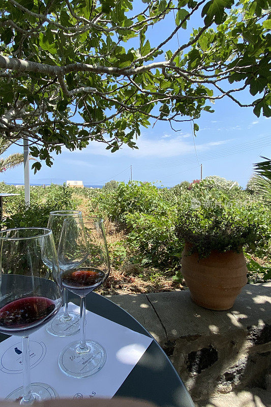 在希腊圣托里尼岛的葡萄园附近品酒