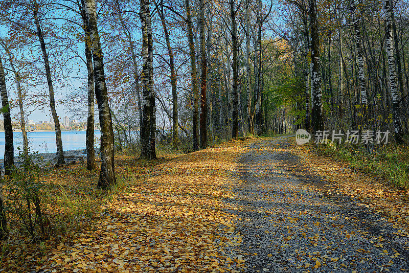满是落叶的土路。美丽的秋景路在林间沿河而行。