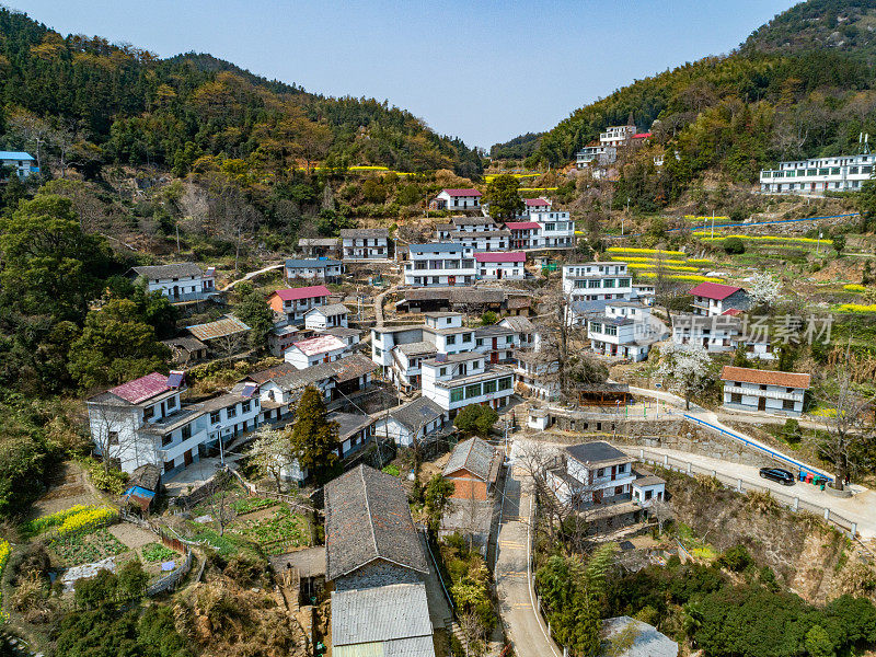 航拍中国农村梯田中盛开的油菜花