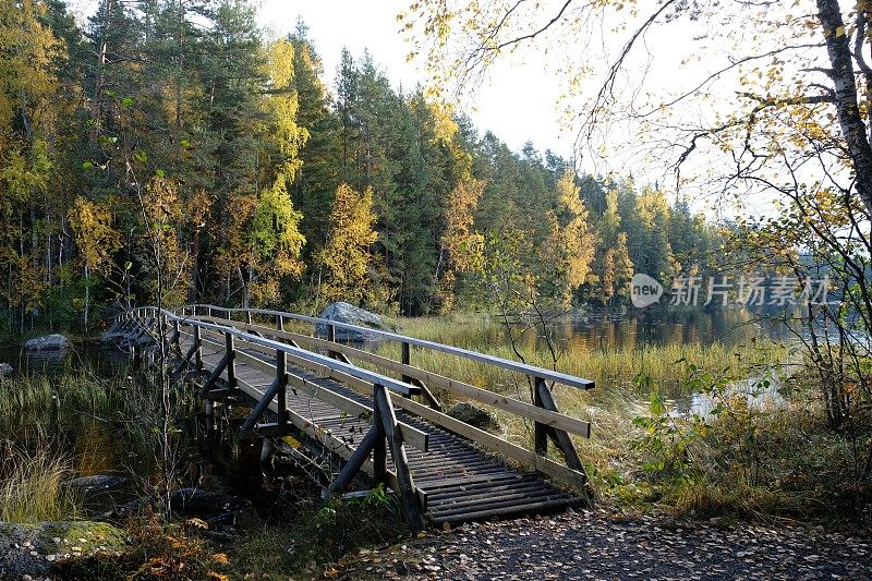 芬兰湖桥自然景观森林荒野秋天