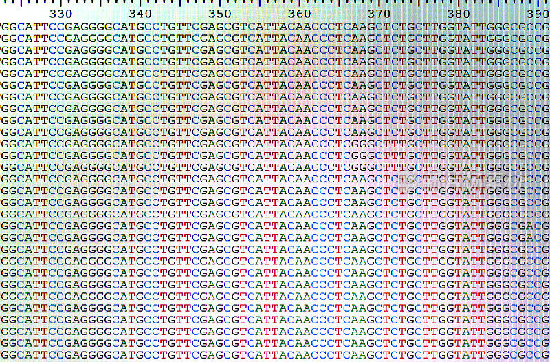 排列的DNA序列显示在液晶电脑屏幕上。
