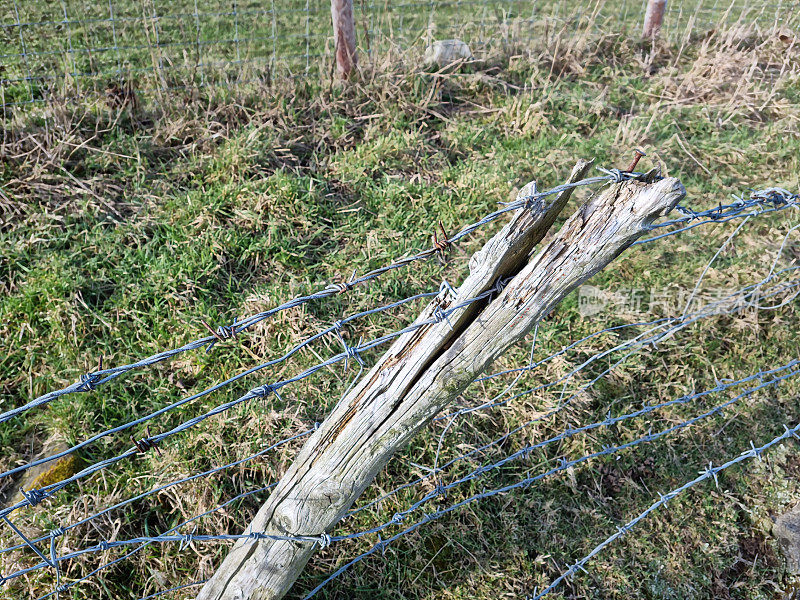 有倒刺的铁丝网，背景是绿草