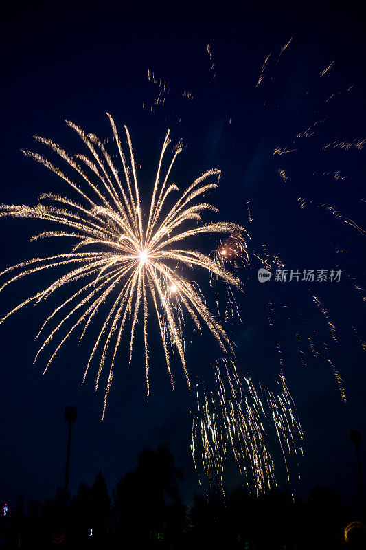 双重爆发的色彩:庆祝加拿大日在温尼伯的夜空