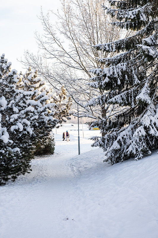 冬季景观，城市公园和树木被雪覆盖，在公园里散步。