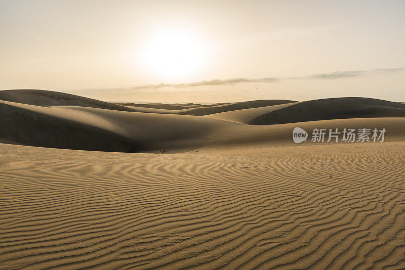 沙漠-有沙丘的景观