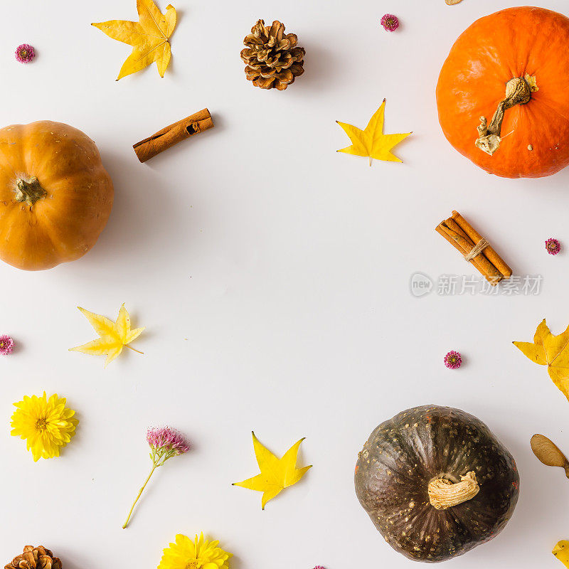 多彩的秋季图案由南瓜、树叶和花朵制成。
