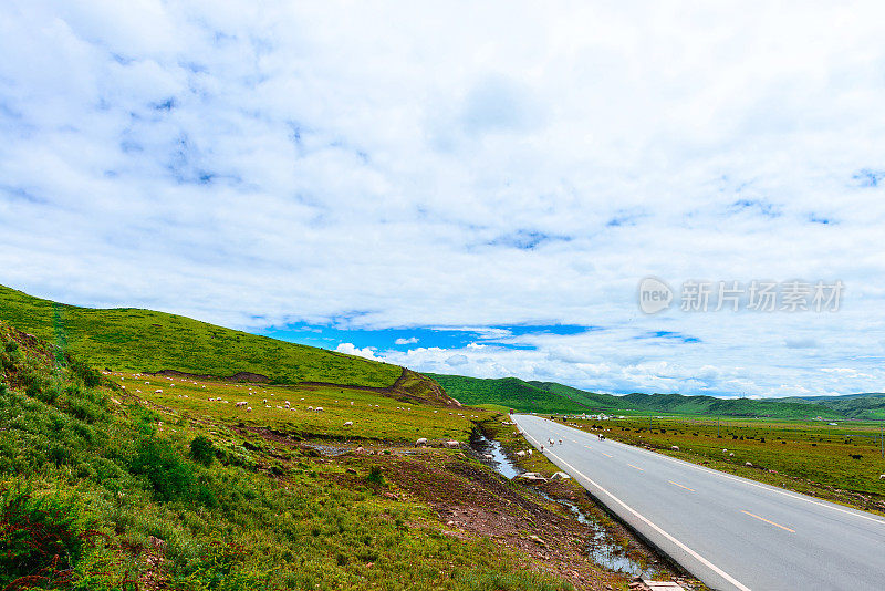 西藏高原的道路、草地和天空