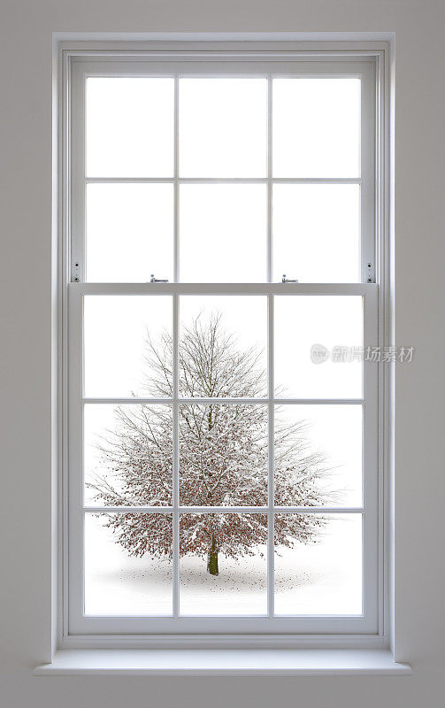 白色的窗户和山毛榉树