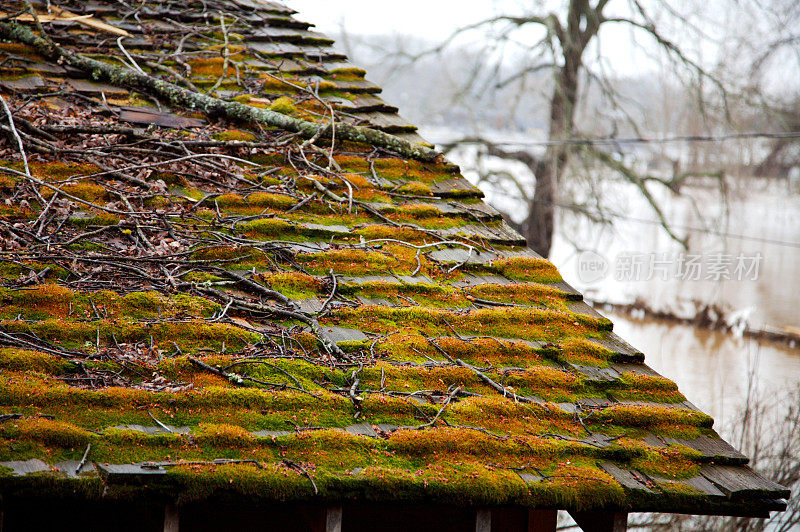 长满青苔的冬季屋顶