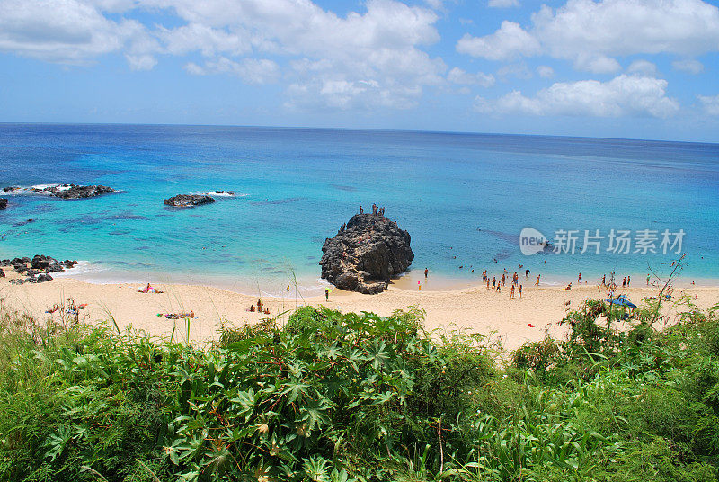 瓦胡岛北岸威美亚湾的跳岩