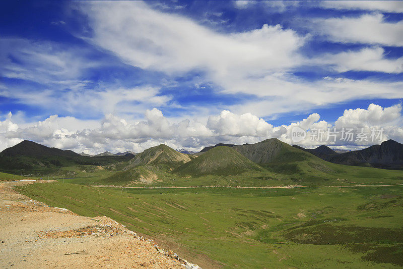 在可可西里，可可西里，西藏