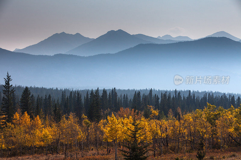 跌入群山