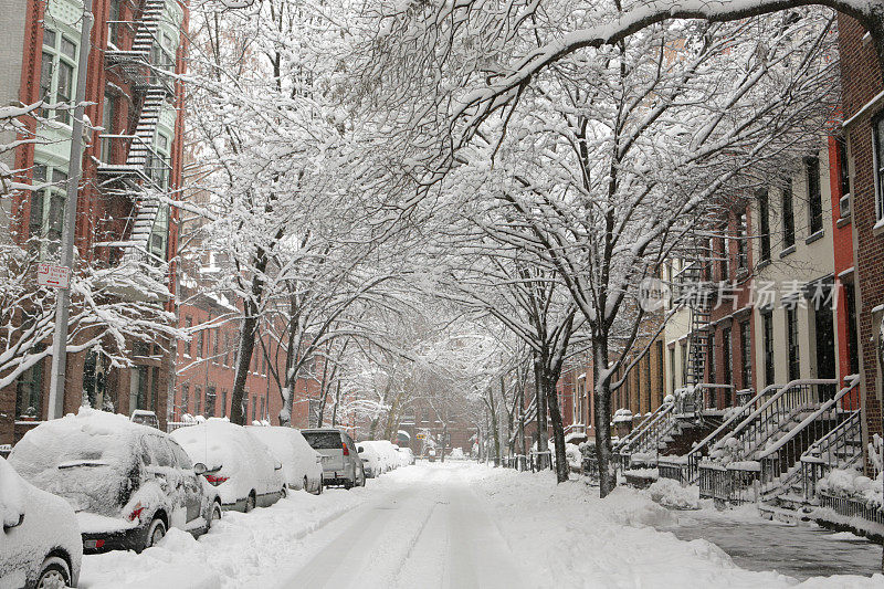 纽约布鲁克林大街的暴风雪