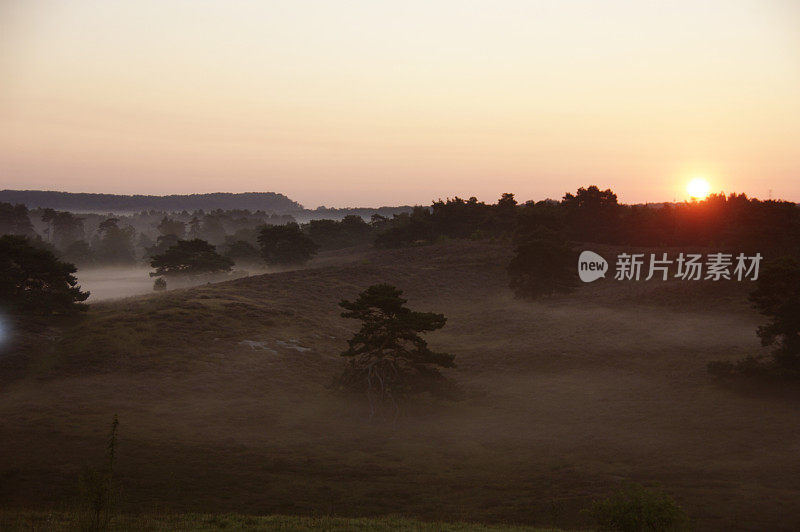 早上的场景