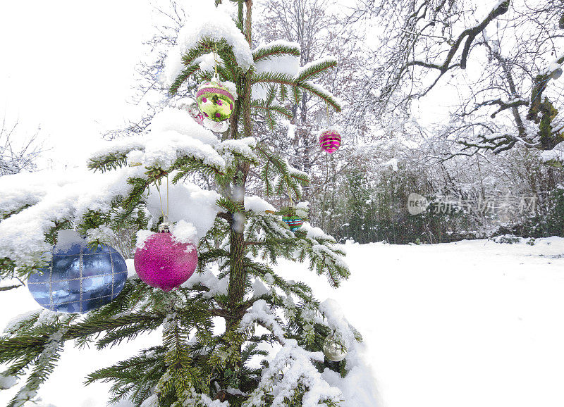 白雪覆盖的花园里的圣诞舞会