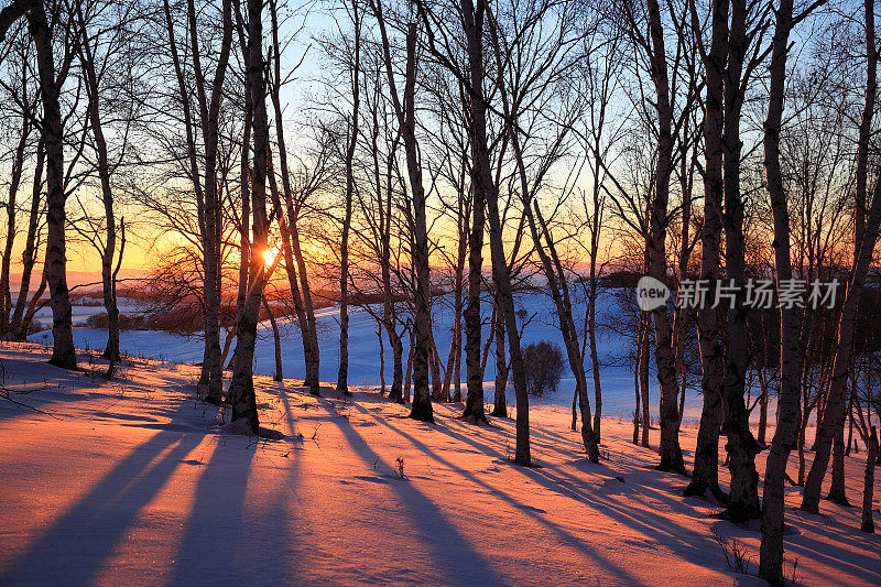 冬天的风景