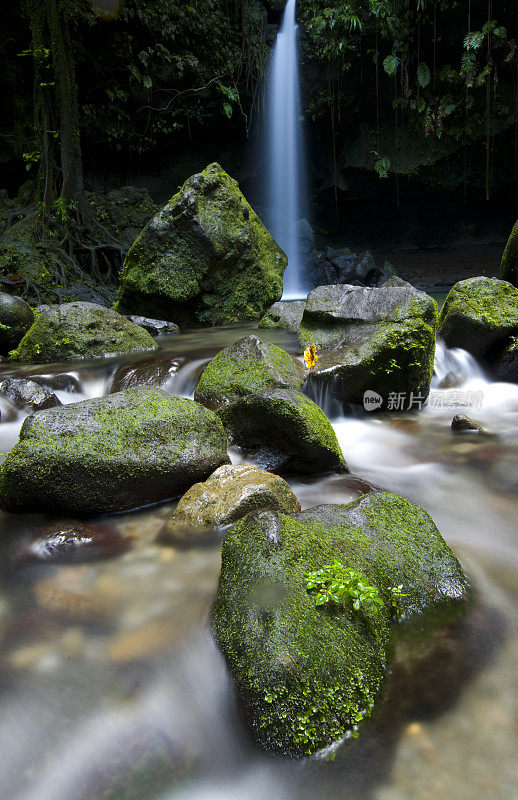 翡翠池和瀑布多米尼加垂直