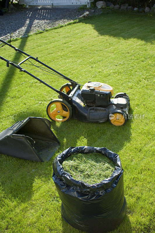 修剪草坪和收集剪下的草