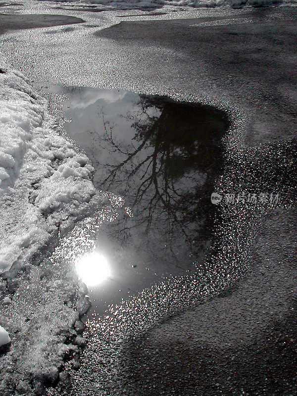 融化的雪与树和阳光反射在水坑