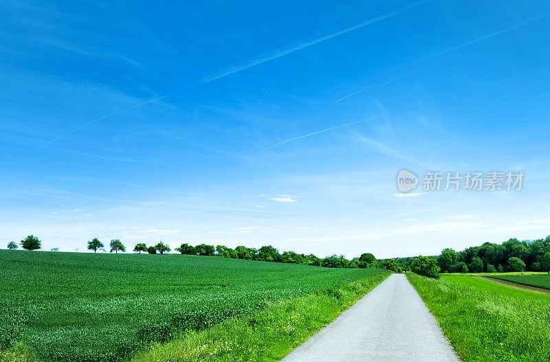 夏天的风景