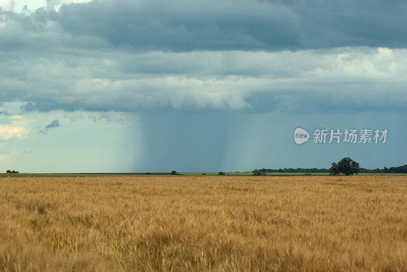 龙卷风和风暴